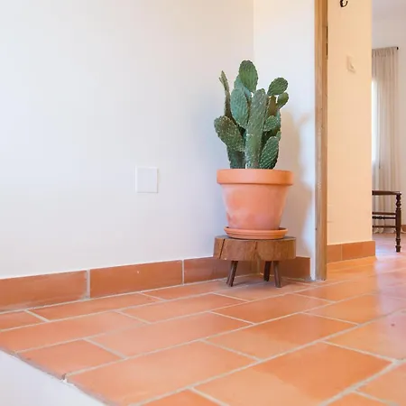 Holiday home Property In